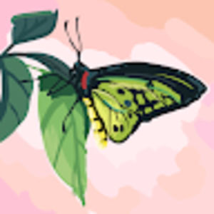 Meet your Posher, Bernice